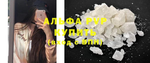 индика Киренск