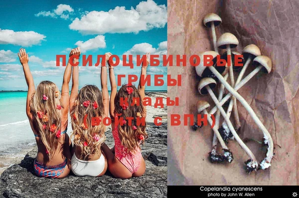 MDMA Кодинск