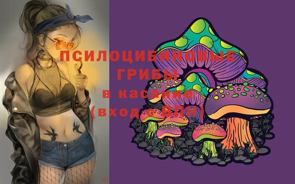 герыч Козельск