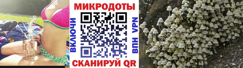 Галлюциногенные грибы GOLDEN TEACHER  цена наркотик  Купино 